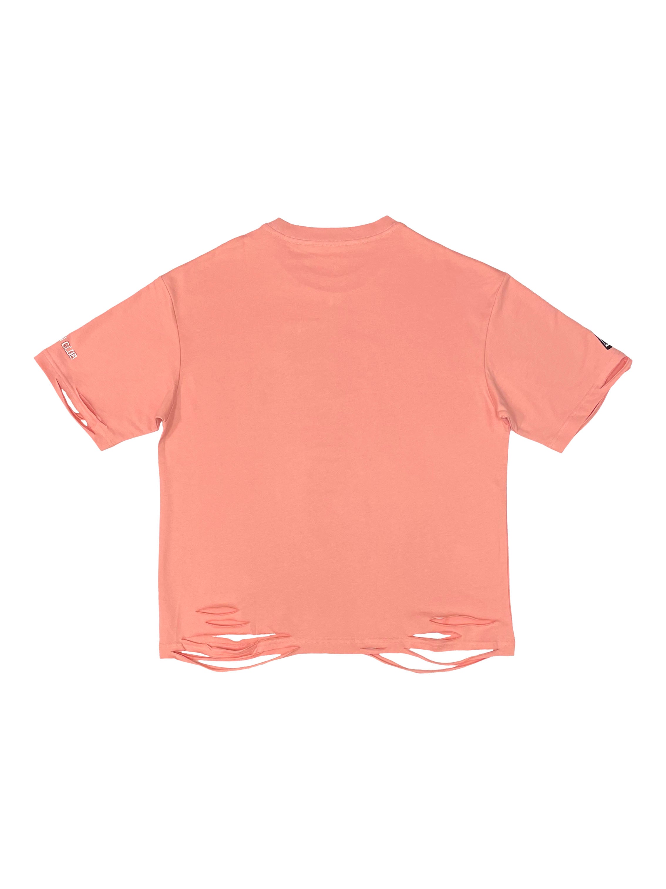 Chrysalis Tshirt (Salmon Pink)